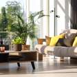 A energia do verde: como usar plantas na decoração para atrair riqueza