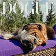 F1: Roscoe, o buldogue de Lewis Hamilton, conquista capa da Dogue