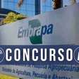 Concurso do Embrapa com mais de 1 mil vagas é homologado; confira previsão de convocação
