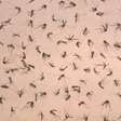 Estudo aponta que 2024 foi pior ano da dengue no mundo