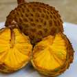 Nem jaca, nem graviola: essa fruta do Cerrado é rica em vitamina C, repleta de antioxidantes e até Patrimônio Cultural