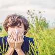 Rinite: 7 plantas que ajudam no controle da alergia