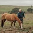 Aldo Vendramin: genética e manejo dos cavalos Crioulos