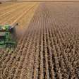 Agroterrorismo: como a IA transforma a biotecnologia em arma