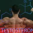 Como aumentar testosterona naturalmente: nutricionista revela 3 dicas