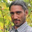 Produtor de vinho morre esmagado por prensa em vinícola da família na Itália
