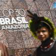 COP30: ONGs pedem investimento alemão em fundo florestal
