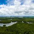 O cofre secreto que pode fazer a amazônia viver para sempre