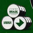 Agência de RP Edelman pressionou presidência da COP30 para favorecer empresa de combustíveis fósseis