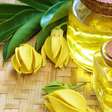 Equilíbrio emocional: os benefícios do óleo essencial de ylang ylang