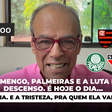 Flamengo, Palmeiras e a luta do descenso. É hoje o dia... da alegria. E a tristeza, pra quem ela vai chegar?