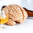 Estudo revela a partir de qual quantidade o álcool prejudica o seu cérebro