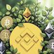 Binance suspende funcionário por promover criptomoeda e dá US$ 100.000 para denunciantes