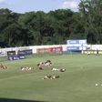 Enxame de abelhas invade campo e paralisa final sub-14 entre Flamengo e Inter no Paraná