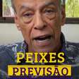 Previsão para o signo de peixes 08 a 14 de Dezembro