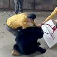Urso ataca treinador durante apresentação em zoológico na China; vídeo