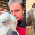Marcio Garcia chora ao comunicar morte de seu cão que tinha câncer: 'Ele ia começar a quimio'