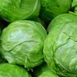Repolho verde ou roxo: qual é o mais saudável?