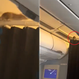 Ratazana invade avião e 'aterroriza' passageiros durante voo; vídeo