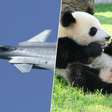 A China não precisa de bombas ou mísseis para impor sua vontade; isso se chama "diplomacia do panda", e acaba de ser aplicada ao Japão