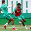 Palmeiras inicia preparação especial e mira novo feito histórico na base; entenda