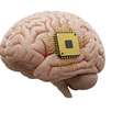 Chip injetável pode ajudar no tratamento de distúrbios cerebrais