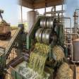 Milhões de toneladas de cana moídas e fermentadas: é assim que a indústria transforma o campo em açúcar e etanol para o Brasil