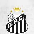 Possível reforço do Santos se pronuncia: 'Não estou sabendo'