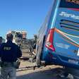 Colisão entre ônibus e carreta deixa 11 mortos e dezenas de feridos na BR-116, em Pelotas