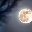 6 rituais para realizar em noites de Lua Cheia e atrair boas energias