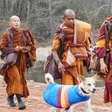 Após resgate, cão participa de caminhada pela paz com monges