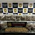 Maconha de alto valor comercial é apreendida em ação do Denarc no Vale do Sinos