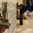 Gata que participou do filme 'O Agente Secreto' ganha prêmio 'Golden Beast' em festival de Hollywood