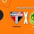 Primavera x Mirassol, AO VIVO, com a Voz do Esporte, às 18h