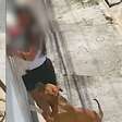 Cachorro da raça pitbull ataca cão na coleira e assusta tutora em São Paulo