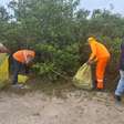 Mutirão do Inea retira 300 kg de resíduos de manguezal em Niterói