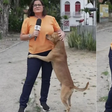 Fofura! Cachorro caramelo rouba a cena durante reportagem da Globo