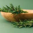 Alecrim: benefícios da planta para a saúde e como utilizá-la no dia a dia