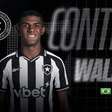 Botafogo anuncia Wallace Davi, ex-Fluminense
