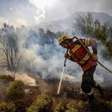 Chamas devoram mais de 60 mil hectares na Patagônia argentina