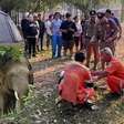 Turista é morto por elefante durante trilha em parque nacional da Tailândia