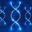 Como viver mais tempo: seus genes podem ter papel fundamental, dizem pesquisas