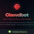O que é o Clawdbot, o que ele pode fazer no seu computador e quais são os seus perigos?