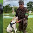 Sargento adota cadela após salvá-la de ataque de sucuri em batalhão no Pará