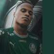 Jhon Arias chega ao Brasil nesta sexta-feira e Palmeiras prepara estreia