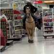 Homem vai às compras em cavalo e causa indignação
