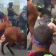 Vídeo mostra cavalo da PM perdendo controle e 'atropelando' foliões no carnaval do Recife