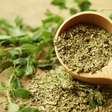 Orégano: benefícios da erva aromática e dicas para cultivar em casa