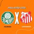 Palmeiras x Capivariano: onde assistir, escalações e arbitragem