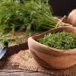 Endro: poderoso aliado da saúde com benefícios que vão além da cozinha